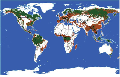 Mapa deforestaci&oacute;n mundial.
